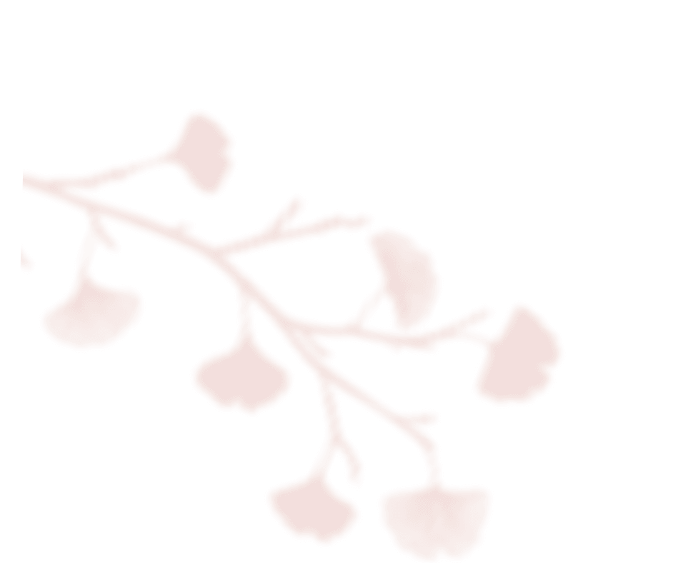 shadow_leaves_06 https://miren.com.tw/wp-content/uploads/2020/12/shadow_leaves_06.png